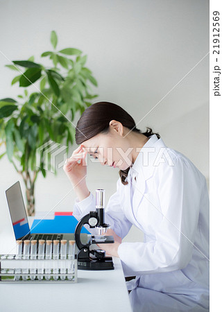 研究 女性 研究 女性 21912569