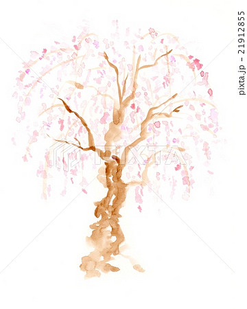 枝垂れ桜 21912855
