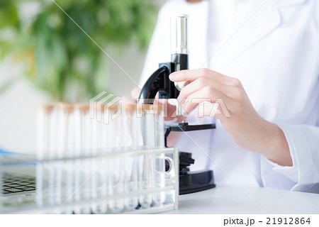 研究　女性　パーツ 21912864