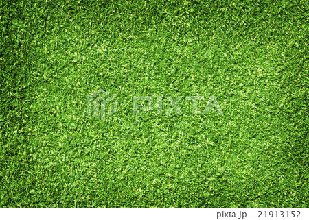 Golf Courses green lawn Golf Courses green lawn 21913152