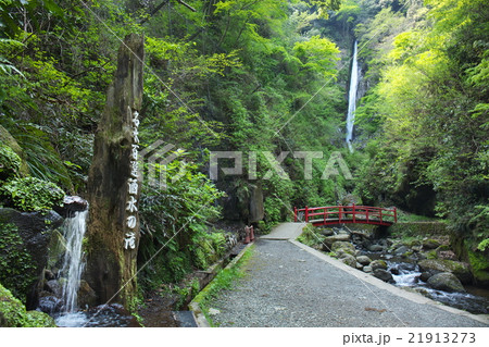 新緑の洒水の滝 21913273