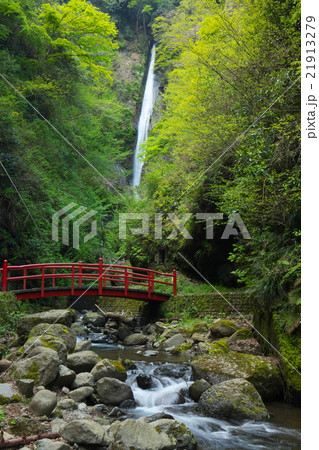 新緑の洒水の滝 21913279