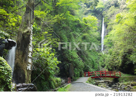 新緑の洒水の滝 21913282
