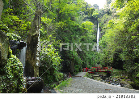 新緑の洒水の滝 21913283