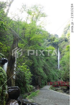 新緑の洒水の滝 21913284