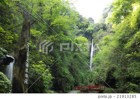 新緑の洒水の滝 21913285