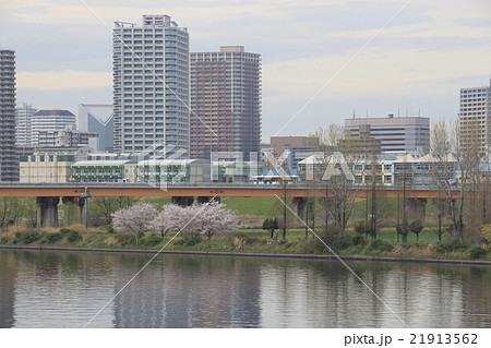 春の荒川河川敷と川口市街 春の荒川河川敷と川口市街 21913562