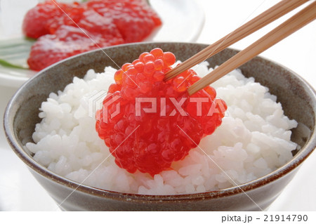 筋子　イクラ　魚卵　白米 21914790