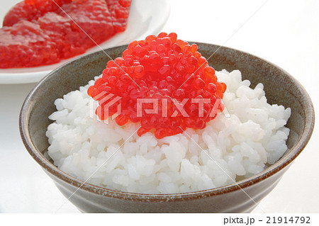 筋子　イクラ　魚卵　紅筋子　米 21914792