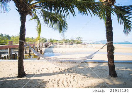 white hammock between two coconut white hammock between two coconut 21915186
