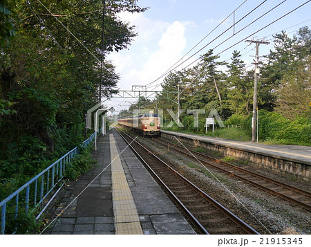 485系 くびき野1号上下浜駅 21915345