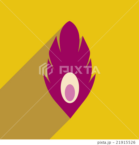 Flat web icon with long shadow Peacock feather Flat web icon with long shadow Peacock feather 21915526