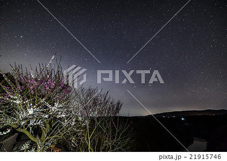 月ヶ瀬梅林の星景 月ヶ瀬梅林の星景 21915746