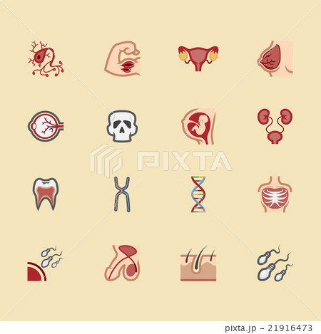 body element vector color icon set2 21916473