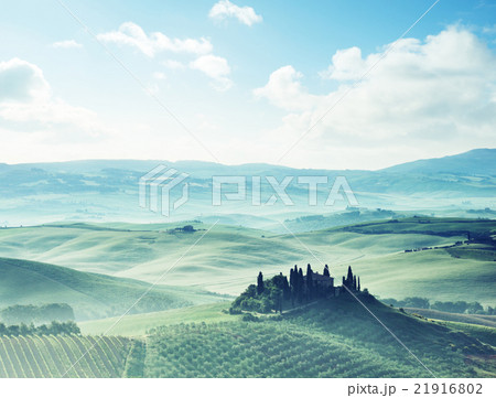 morning in Tuscany, Italy morning in Tuscany, Italy 21916802