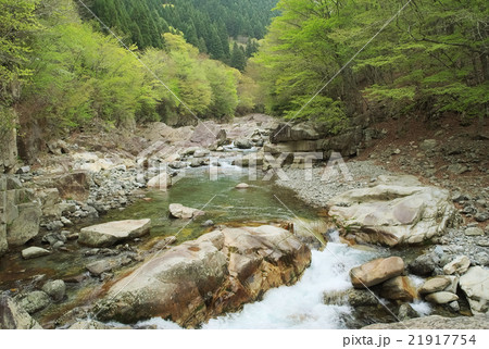 天ノ川渓谷 21917754