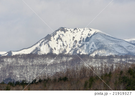 雪解けを待初春の山 21919327