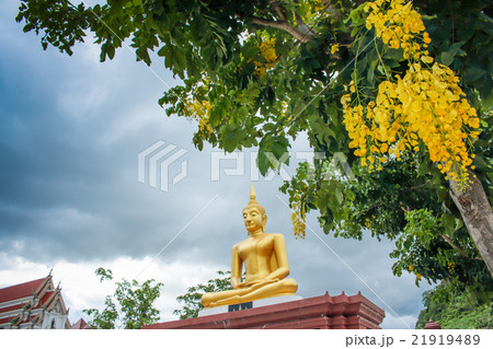 Buddha statues with yellow flower in the temple 21919489