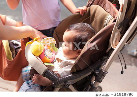 8 months old　&　5 years old 21919790