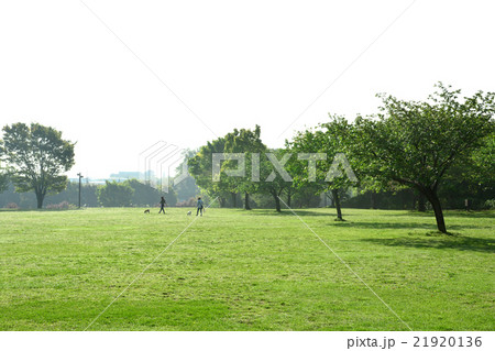 長坂谷公園 長坂谷公園 21920136