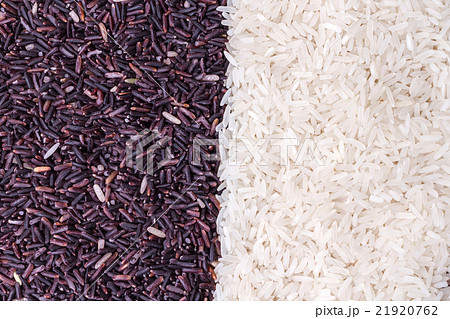 row of rice berry and jasmine rice grains 21920762
