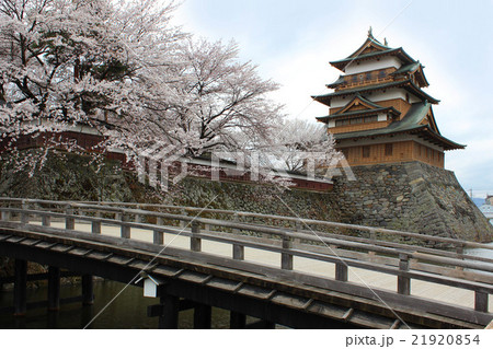 高島城の桜 高島城の桜 21920854