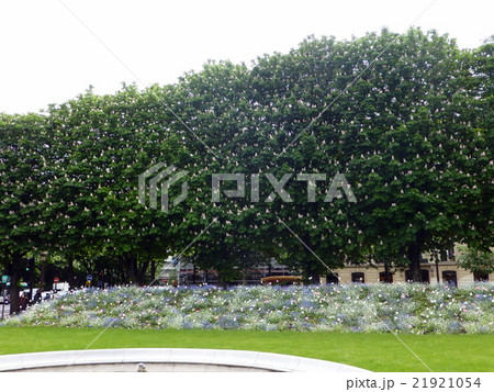 フランス_パリ_シャンゼリゼ大通り(Champs-Elysees) フランス_パリ_シャンゼリゼ大通り(Champs-Elysees) 21921054