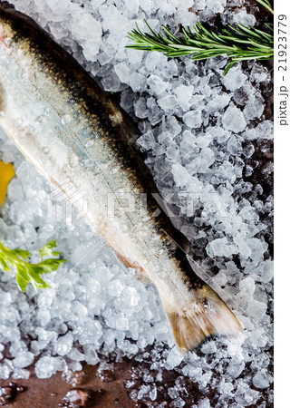 fresh fish fresh fish 21923779