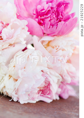 fresh peonies 21925229
