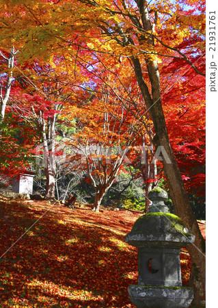 秋の土津神社 秋の土津神社 21931761