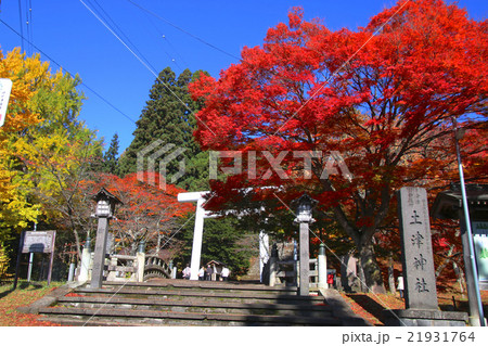 秋の土津神社 21931764
