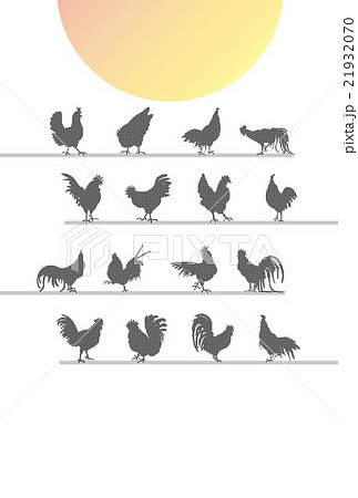 酉年の干支の鶏と日の出のシンプルな年賀状素材のイラスト素材