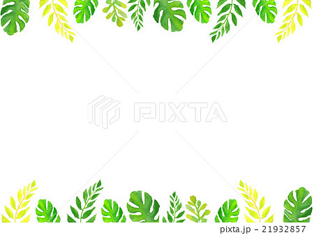 イラスト トロピカル 熱帯植物 背景のイラスト素材