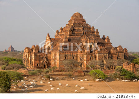 Dhammayangyi The biggest Temple in Bagan , Myanmar 21933747