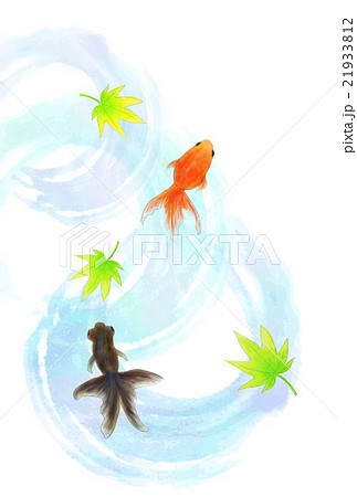 金魚 手描き水彩風のイラスト素材