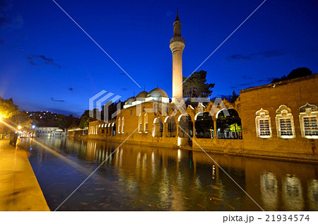 シャンルウルファの聖なる魚の池 21934574