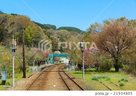若葉と新緑のわたらせ渓谷鉄道・神戸駅 21934805