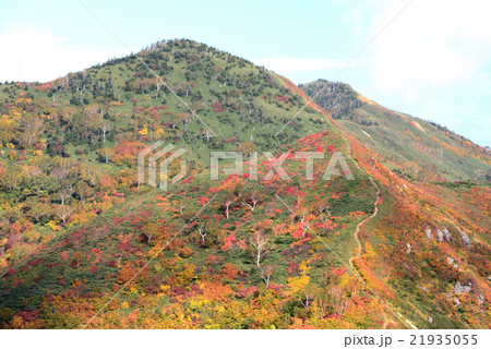 錦秋の「裏越後三山」縦走路 21935055