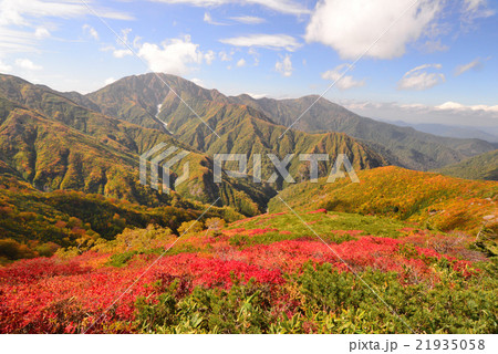 紅葉の越後三山「中ノ岳」と「駒ヶ岳」 紅葉の越後三山「中ノ岳」と「駒ヶ岳」 21935058