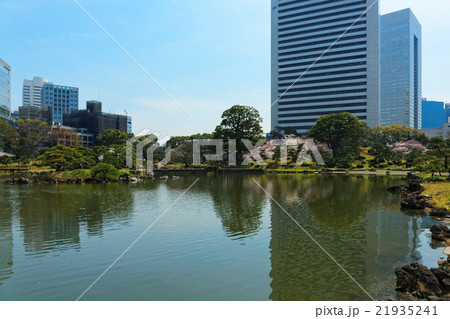 旧芝離宮恩賜庭園と満開の桜 旧芝離宮恩賜庭園と満開の桜 21935241