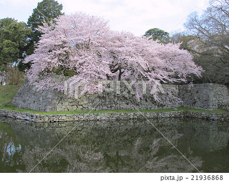 国宝　彦根城　大手門橋から 21936868