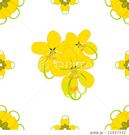 Cassia Fistula - Gloden Shower Flower Background2 21937332