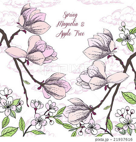 Background with magnolia and apple tree 21937616
