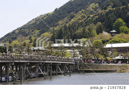 京都嵐山 21937828
