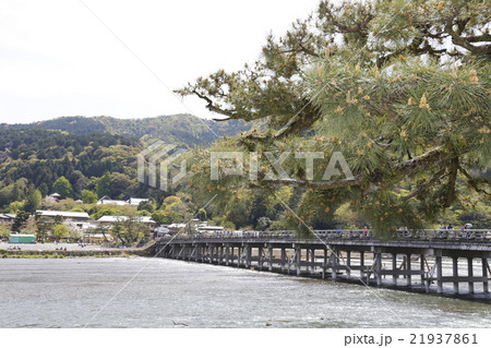 京都嵐山 21937861