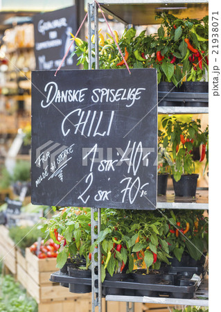 Fresh and organic vegetables at farmers market Fresh and organic vegetables at farmers market 21938071