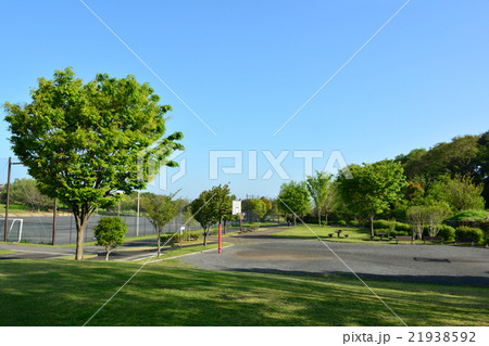 長坂谷公園 21938592