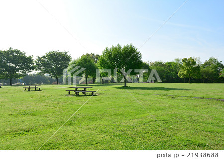 長坂谷公園の写真素材