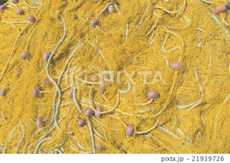 Old dry yellow fishing nets Old dry yellow fishing nets 21939726