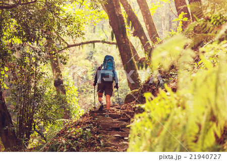 Hike in Nepal jungle 21940727